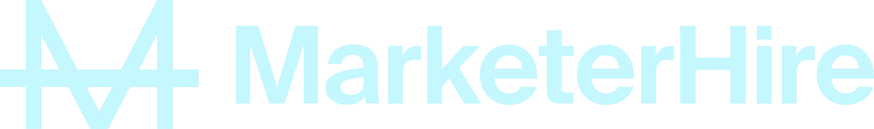 Company - MarketerHire